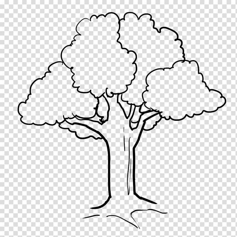 كتاب تلوين رسم شجرة شجرة Png