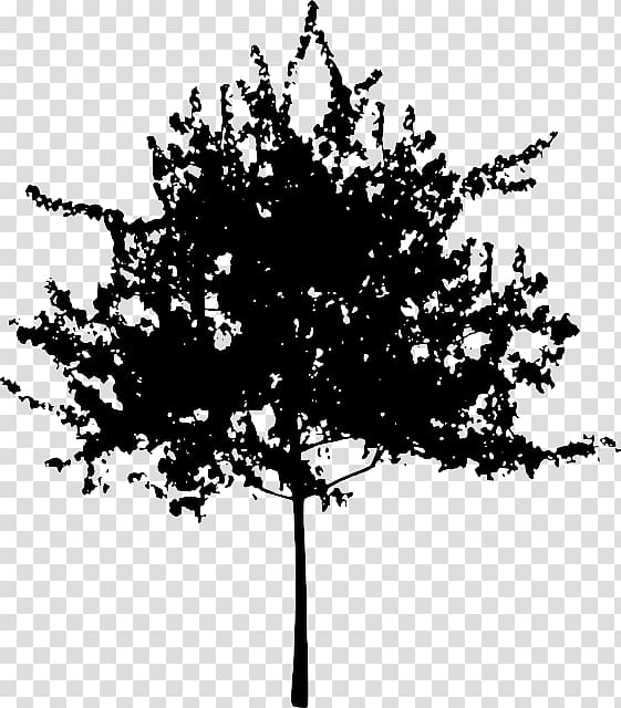 فرع شجرة خيال الكرتون الفطر الأخضر Png