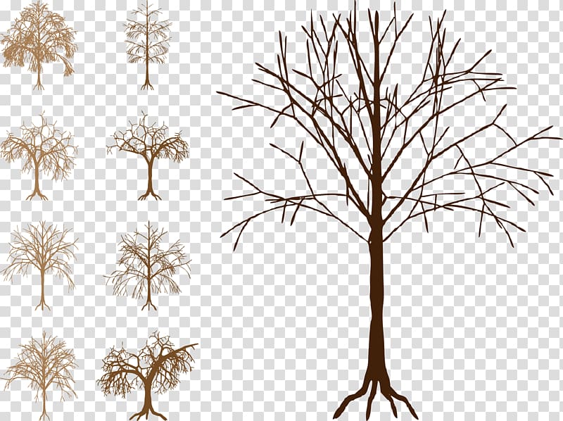 جذع شجرة الشتاء Png
