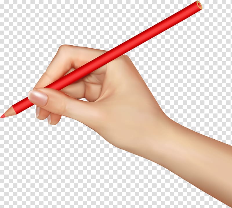 قلم حبر يد تمسك قلم