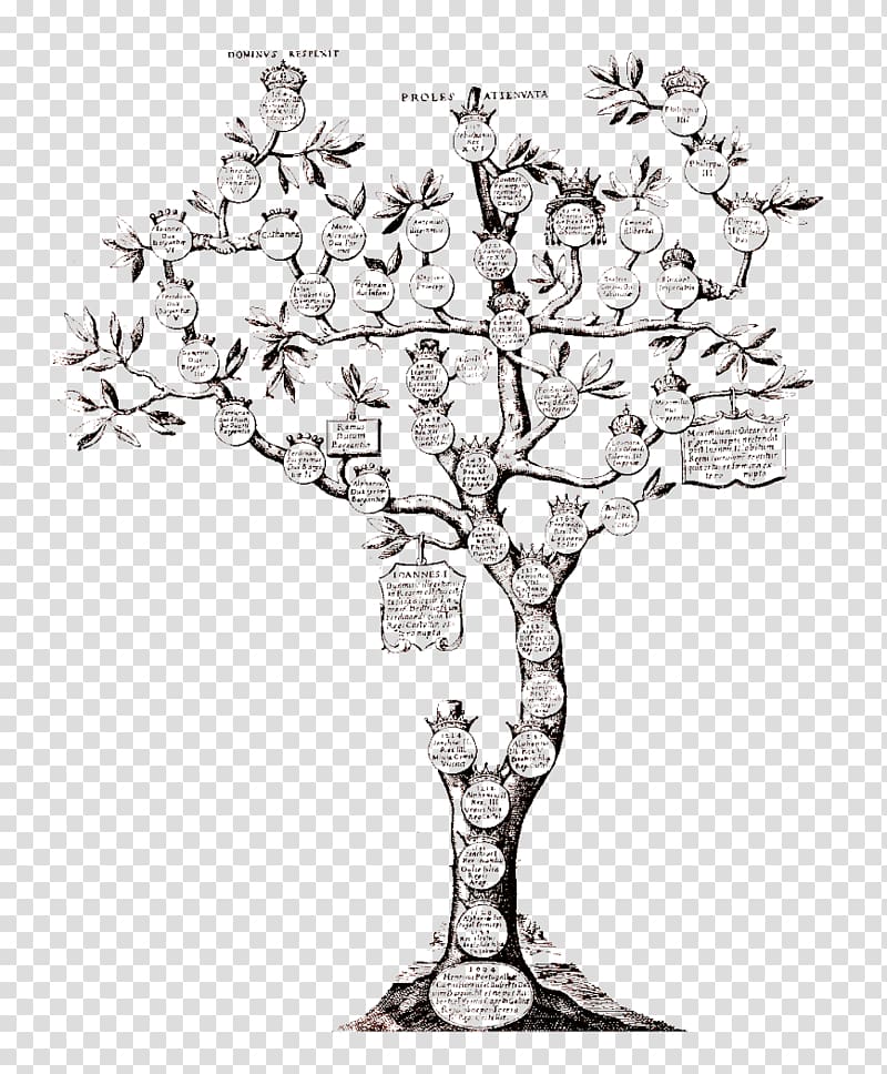شجرة العائلة النسب سلف القرابة الأسرة Png