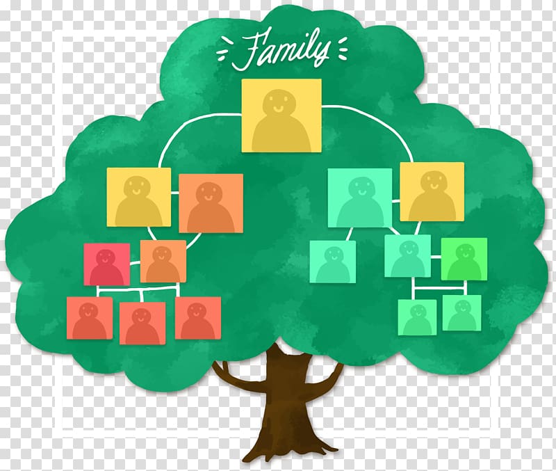 شجرة العائلة رسمت باليد هيكل شجرة العائلة Png