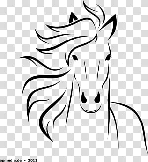 كيفية رسم رسم لوحة رسم الحصان حصان Png