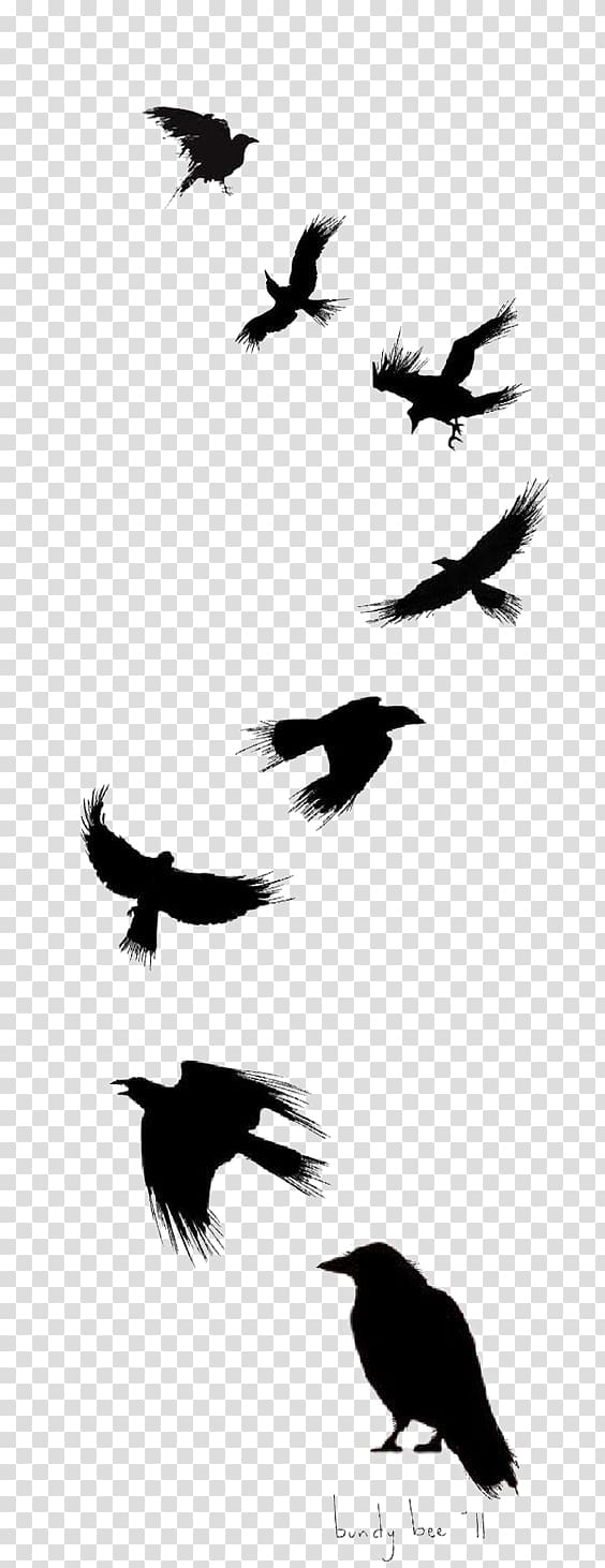 رسم طيور في السماء
