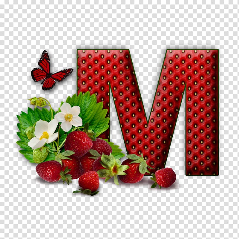 حرف M التوضيح ، حروف الأبجدية الأولي ، LETRAS PNG