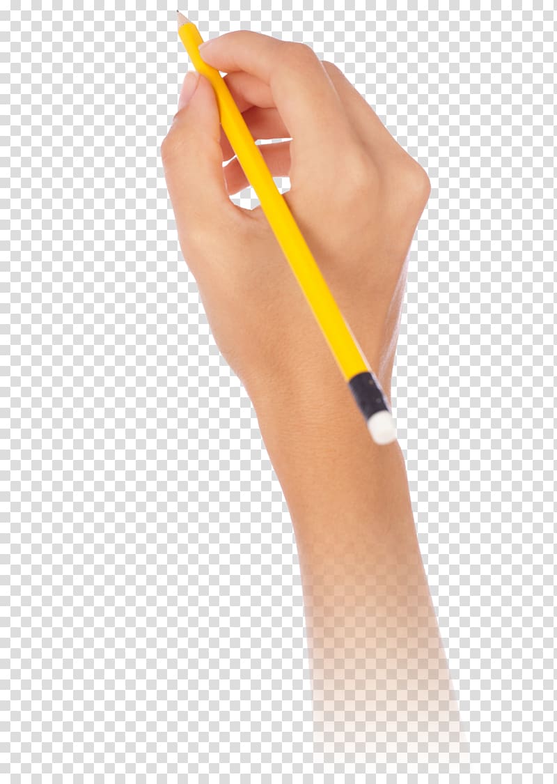 قلم رصاص يد تمسك قلم بدون خلفية
