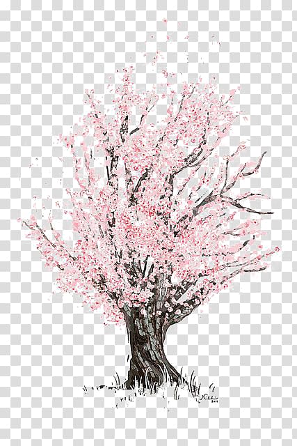 شجرة بنية مع ورقة وردية رسم أزهار الكرز شجرة الكرز Png
