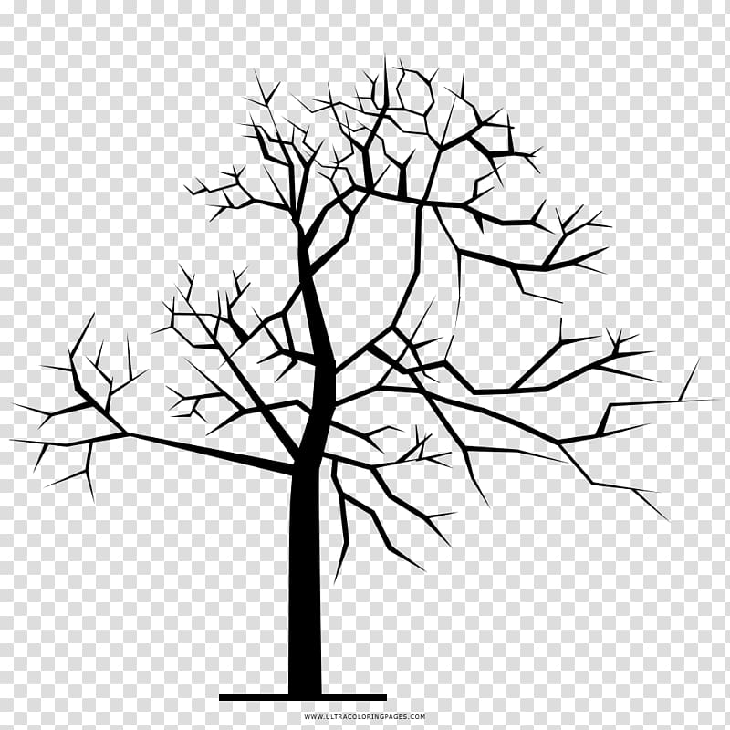 شجرة تلوين غصين رسم شجرة شجرة Png
