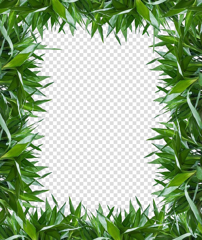 الأخضر إطار التوضيح العشب ، محظوظا الخيزران ورقة بامبو ، مقاطع الأوراق