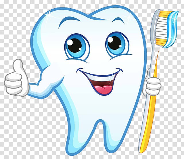 الأسنان البشرية طبيب الأسنان فرشاة الأسنان فرشاة الأسنان Png