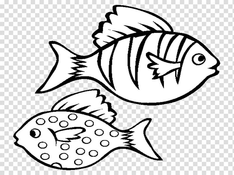 رسم كتاب تلوين رسم السمك والأسماك Png