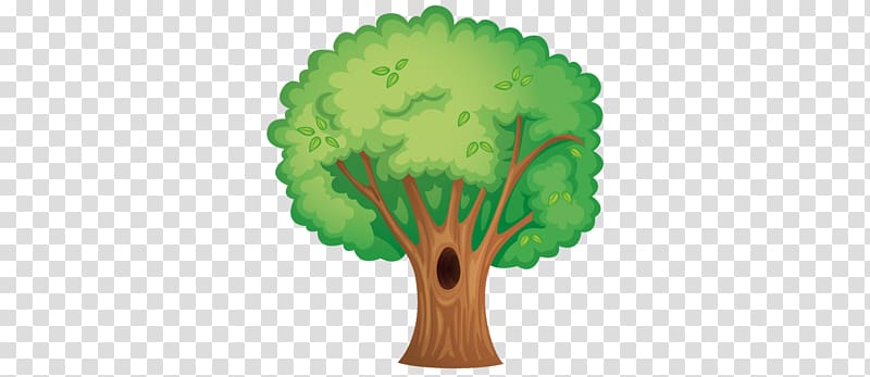شجرة جذع اختبار نفسي الرسم شجرة Png