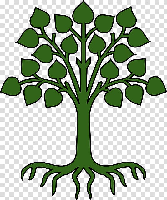 شجرة الجذر فرع الكرتون شجرة Png
