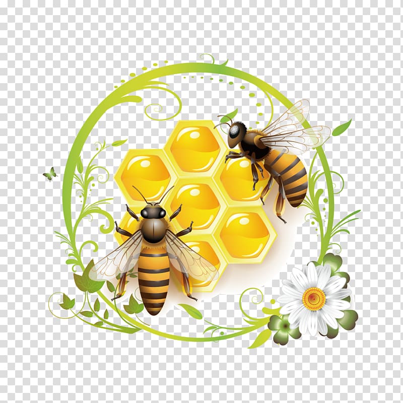 النحل على فن خلية النحل ، عسل النحل ، النحل والعسل PNG