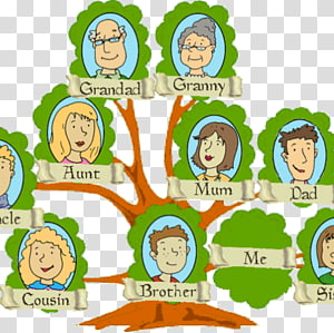 شجرة الانساب شجرة العائلة الأسرة النووية Png