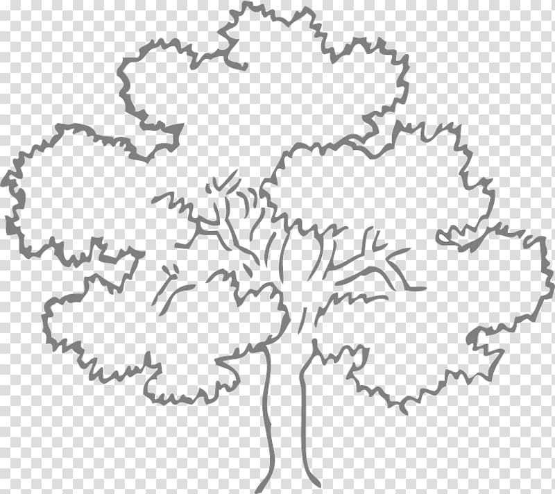 شجرة البلوط رسم كتاب تلوين شجرة Png