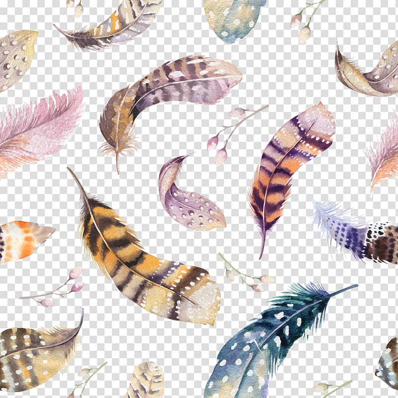 ريشة رمي وسادة الرسم بالألوان المائية ، مجموعة الريش الملون PNG
