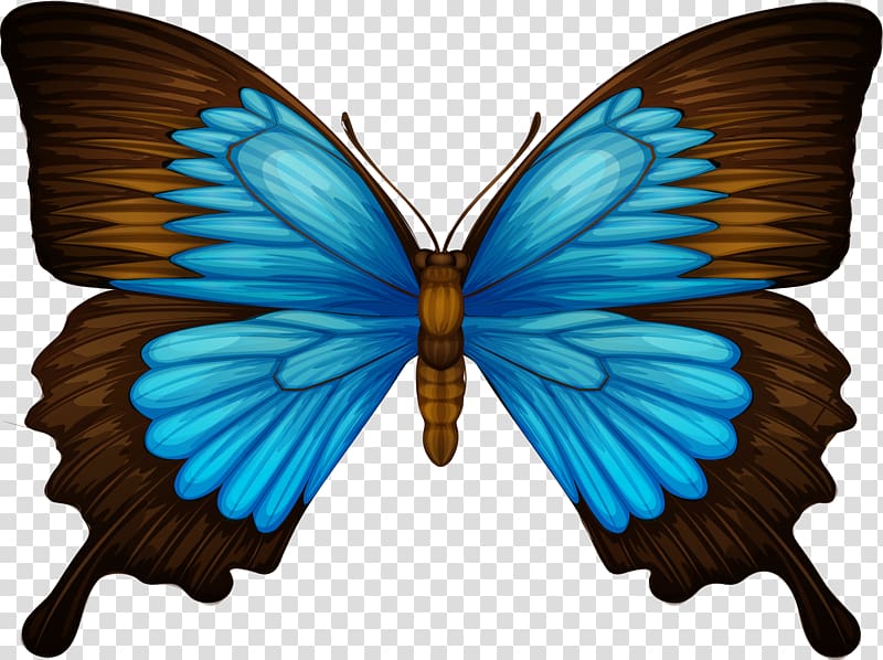 Papilio Ulysses فراشة الذيل بشق Papilio Machaon ومن ناحية رسم