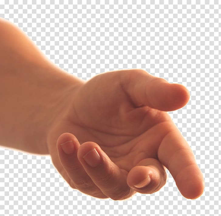 اليد اليسرى للشخص ، اليد فنجر الذراع ، اليدين ، اليد الحرة PNG