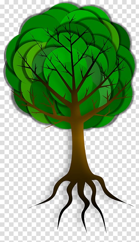 جذر الشجرة Png