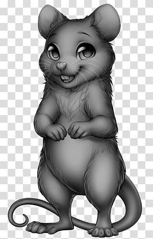 https://a7.pnghunt.com/preview/965/417/196/mouse-rat-rodent-whiskers-cat-mouse-thumbnail.jpg