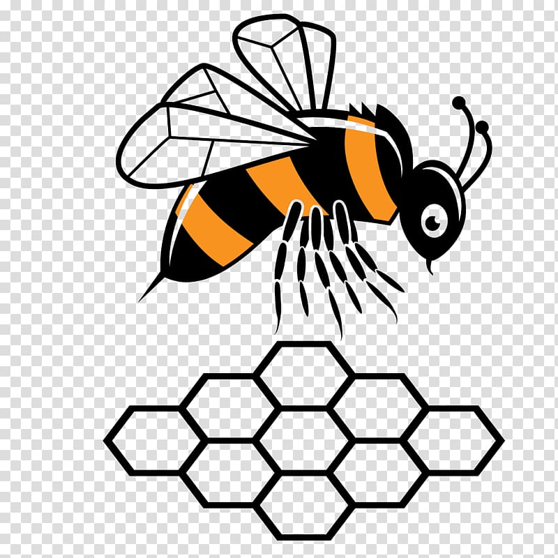 عسل النحل حشرة الفراشة ، كارتون النحل PNG